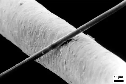 碳纤维原丝与发丝对比